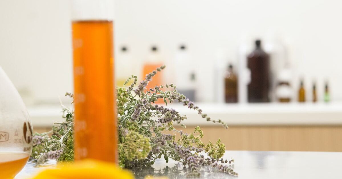 自分だけのオリジナルコスメで気分が上がる、手作りヴィーガンコスメのアイデアをご紹介