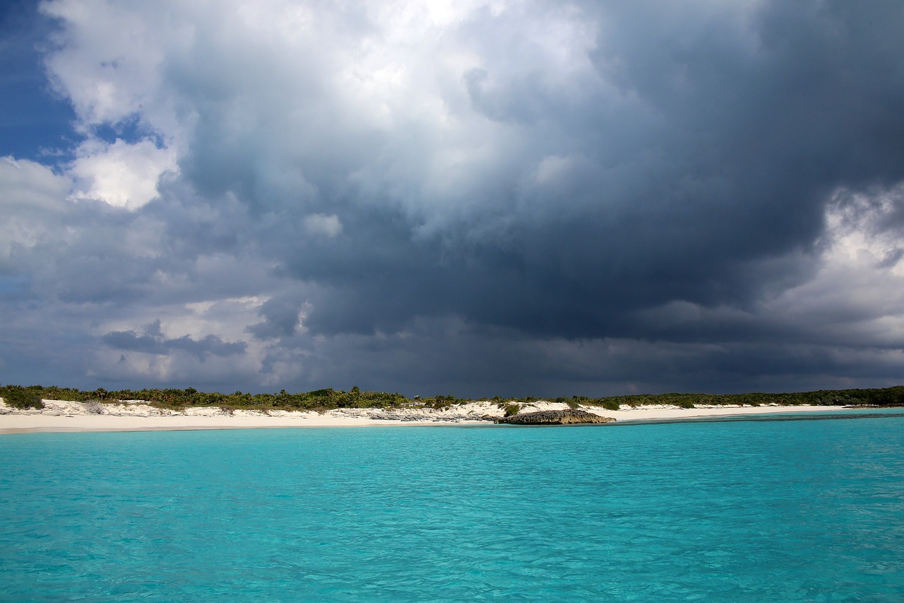 バハマのピッグビーチの問題点：人気観光スポット「エグズーマ島」を訪れてはいけない理由｜ヴィーガン情報総合｜ハッピーキヌア｜日本最大級の